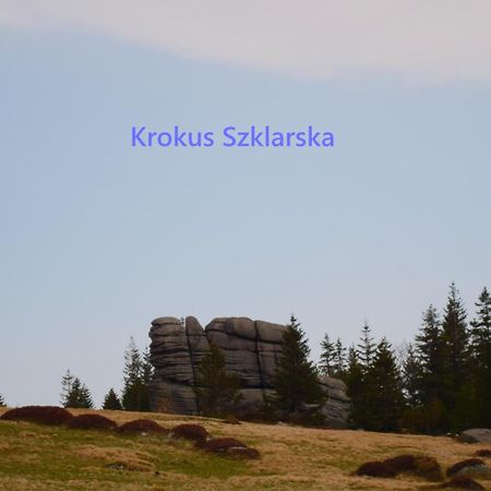 Apartament Krokus Szklarska Шклярска-Поремба Экстерьер фото