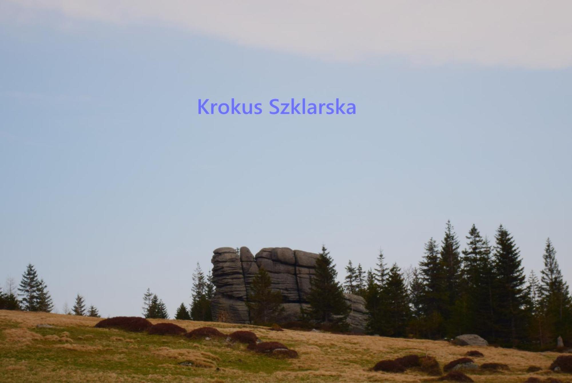 Apartament Krokus Szklarska Шклярска-Поремба Экстерьер фото