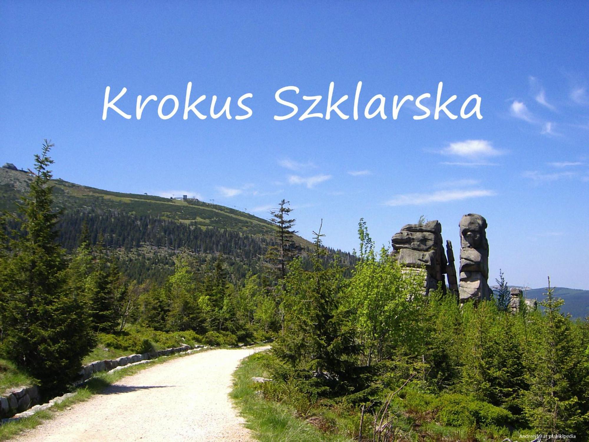 Apartament Krokus Szklarska Шклярска-Поремба Экстерьер фото